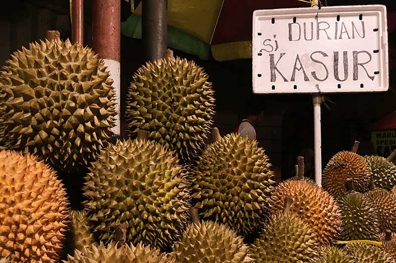 Durian Sikasur